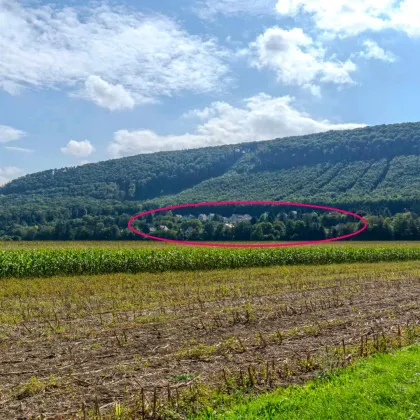 Idyllisches Landhaus in Wohnsiedlung am Waldesrand mitten im Triestingtal, südliches Bergland vor Wien - Bild 2