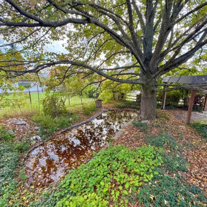 🏡 Großzügiges Einfamilienhaus mit Werkstattkeller, Garage & Terrasse in Stockerau mit Ausbaupotenzial! - Bild 3