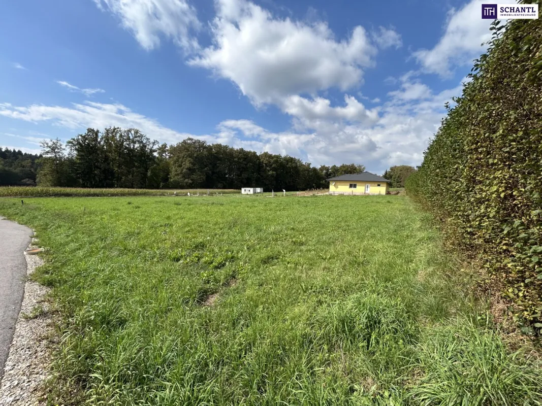 TOP WOHNPROJEKT möglich! IDEAL für BAUTRÄGER! In unmittelbarer Nähe zu den Wundschuher Seen! TOP Anbindung! VOLLERSCHLOSSENES und FLACHES BAUGRUNDSTÜCK! - Bild 1