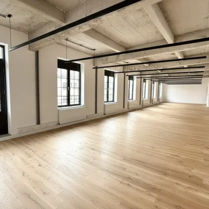 155m² Open-Space im Erstbezug nach Generalsanierung für innovative Startups und Büro - Bild 2