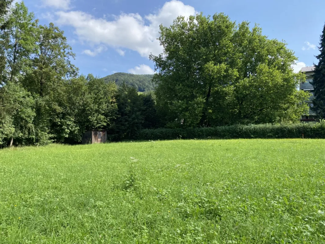 Moderne Gartenwohnung in Kirchdorf: Erstbezug, 4 Zimmer, Terrasse & Garage! - Bild 1