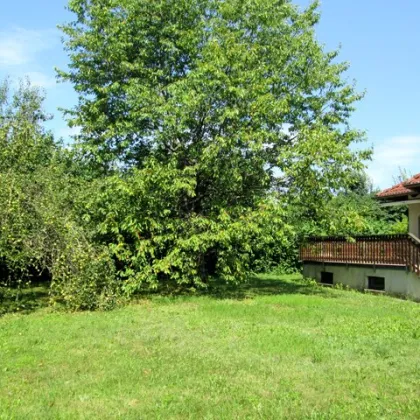 Charmanter Bungalow mit üppigem Garten, ruhige Ortsrandlage! - Bild 2