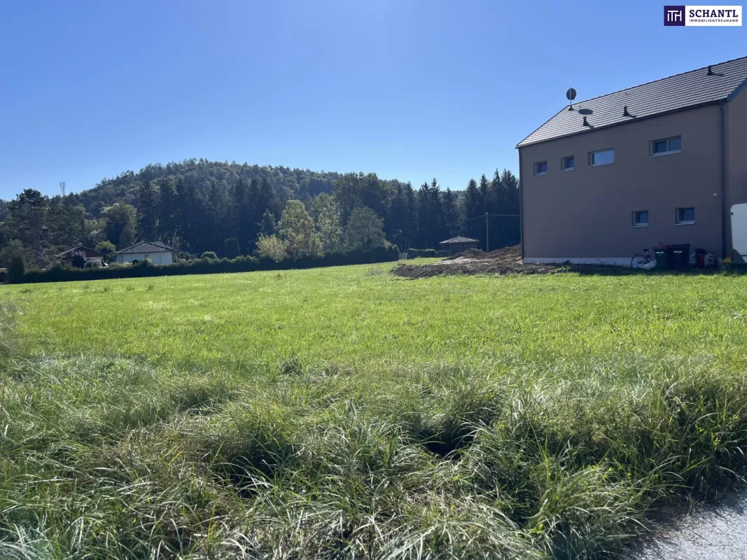 EINMALIGES Baugrundstück in BEGEHRTER LAGE mit TOP ANBINDUNG! - Bild 1