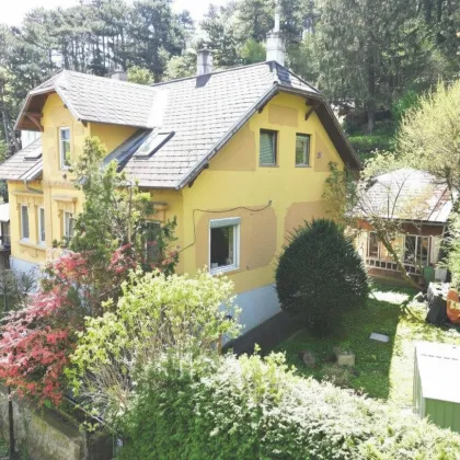 Traumhafte Jahrhundertwendevilla in GRUENRUHELAGE und viel Potenzial - Bild 3