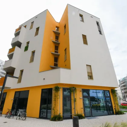 Erstbezug | Moderne Gewerbefläche mit hoher Sichtbarkeit und flexibler Nutzung - Bild 3