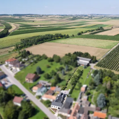 Neuer Preis! Renoviertes Haus in Loidesthal, großes Grundstück! - Bild 3