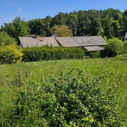 Andritz-Rainleiten: Wunderschönes Grundstück zum Top-Preis! - Bild 2