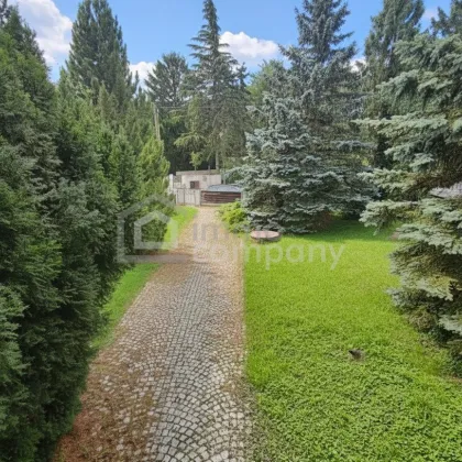 Blockhaus mit Charme in Hagenbrunn – Natur trifft Gemütlichkeit - Bild 3