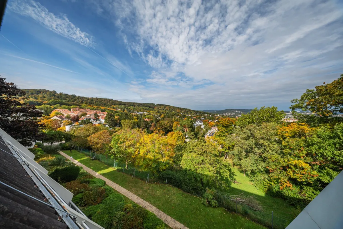 WOHLFÜHLLEBEN IN OBER ST. VEIT - Bild 1