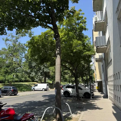 3-Zimmer-Neubau mit Loggia direkt bei der Donau - Bild 3