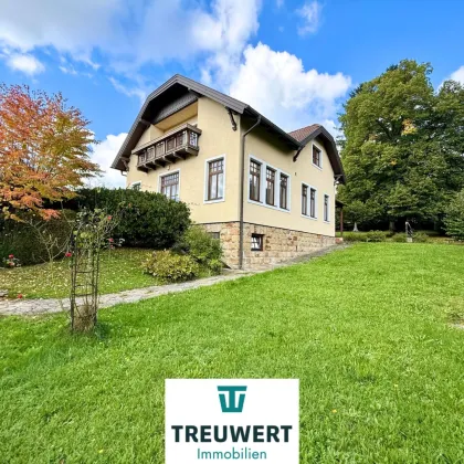 HISTORISCHE RARITÄT bei Wien: Stilvolle VILLA mit großem GARTEN und DOPPELGARAGE - Bild 2