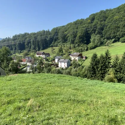 Seltene Gelegenheit in Proleb: 6.057 m² Bauland & Freiland in herrlicher Aussichtslage am Waldrand! - Bild 3