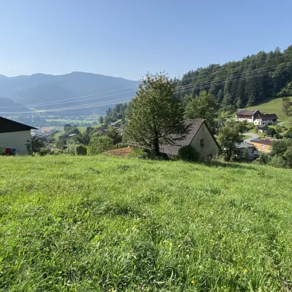 Seltene Gelegenheit in Proleb: 6.057 m² Bauland & Freiland in herrlicher Aussichtslage am Waldrand! - Bild 2