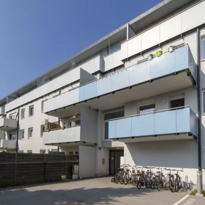 Helle Dachterrassenwohnung mit Fernblick - Bild 3