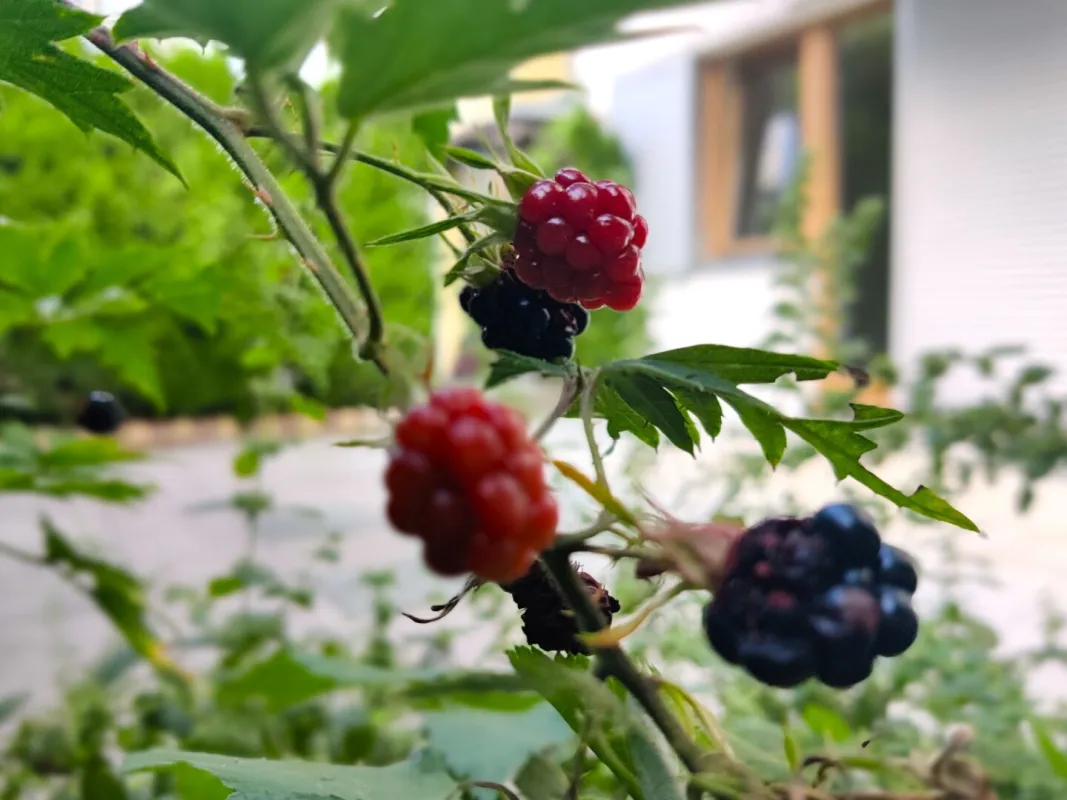Hoher Wohngenuss in Innsbruck-Arzl, 3 Zimmer-Gartenwohnung - Bild 1