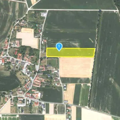 BIETERVERFAHREN - Acker mit Potenzial auf langfristig teilweise Umwidmung in Bauland in der Gemeinde Zwentendorf zu kaufen - PROVISIONSFREI - Bild 2