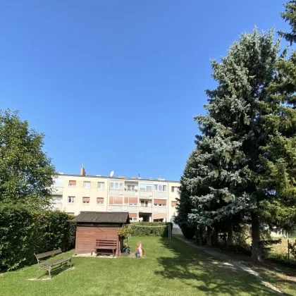 Helle, freundliche vollrenovierte 3-Zimmer-Mietwohnung mit Gartennutzung, Loggia, KFZ-Stellplatz in 2486 Landegg! - Bild 3