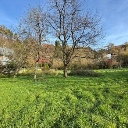 Baugrundstück in wunderschöner Lage inkl. baubewilligter Planung - Bild 2