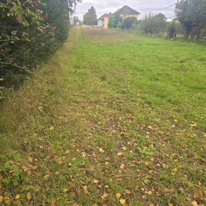 +Traumhaftes Baugrundstück in Gaweinstal – Ihr Eigenheim auf 1520m²+ - Bild 2