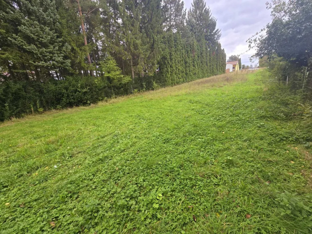 +Traumhaftes Baugrundstück in Gaweinstal – Ihr Eigenheim auf 1520m²+ - Bild 1