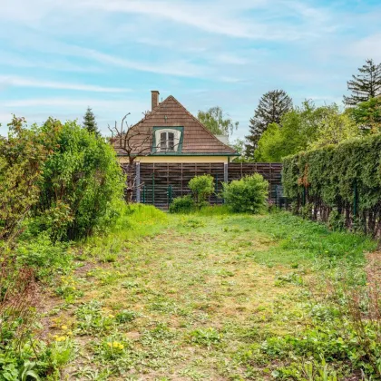 Barrierefrei, großer Garten und Garagenstellplatz inklusive - perfekte Wohnmöglichkeit ! - Bild 3