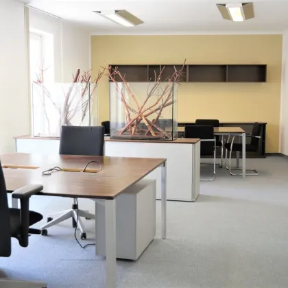 Toplage 1010 Wien: 53m² Büro mit Küche beim Hohen Markt! - Bild 3