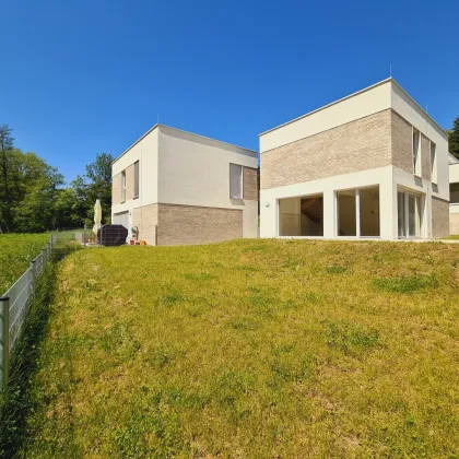 Neubau Erstbezug | Holzmassiv | Living Woods - Bild 3