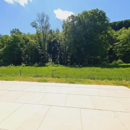 Neubau Erstbezug | Holzmassiv | Living Woods - Bild 2