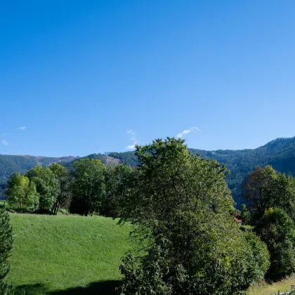 SCHILIFT ZU FUSS | Gemütliche 2-Zimmer-Wohnung mit Balkon in Bad Kleinkirchheim - Bild 3