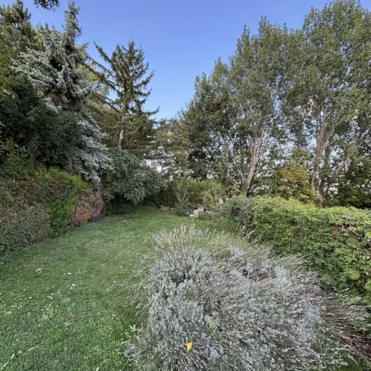 SCHULTZ IMMOBILIEN - Gemütlicher Bungalow beim See! - Bild 2