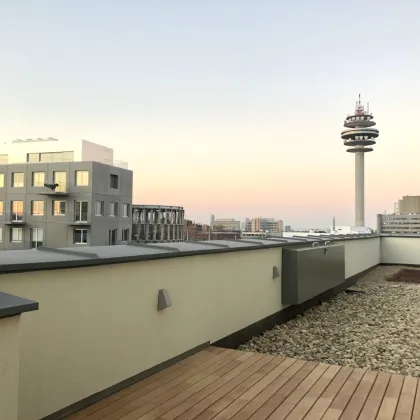 Terrassenwohnung mit tollen Gemeinschaftsflächen und Sauna im Sonnwendviertel zu vermieten - Bild 3