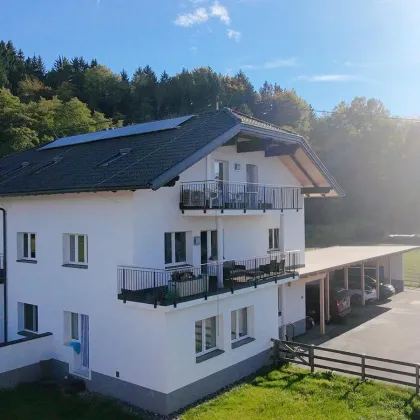 Attraktive Investmentchance: Wohnhaus mit 6 Einheiten in St. Kanzian. - Bild 2
