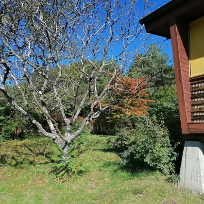 Idyllisches kleines Ferien- /Gartenhaus für Ruhesuchende - Bild 3