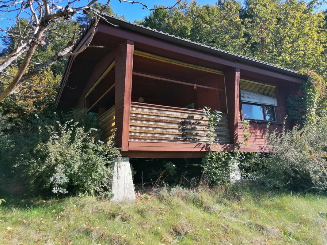 Idyllisches kleines Ferien- /Gartenhaus für Ruhesuchende - Bild 1