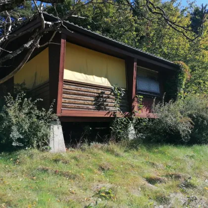 Idyllisches kleines Ferien- /Gartenhaus für Ruhesuchende - Bild 2