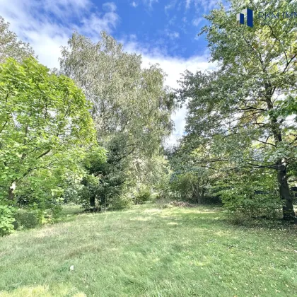 Exklusives Baugrundstück nahe Wien – Naturidylle und Stadtnähe perfekt vereint - Bild 3