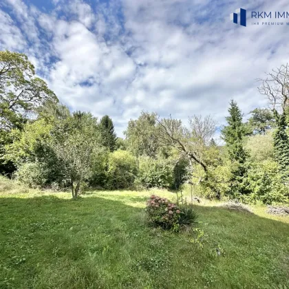 Exklusives Baugrundstück nahe Wien – Naturidylle und Stadtnähe perfekt vereint - Bild 2