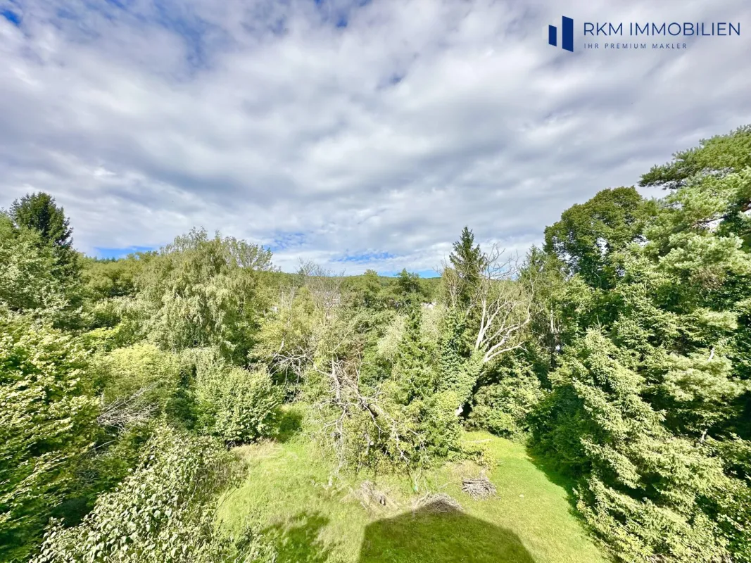 Exklusives Baugrundstück nahe Wien – Naturidylle und Stadtnähe perfekt vereint - Bild 1