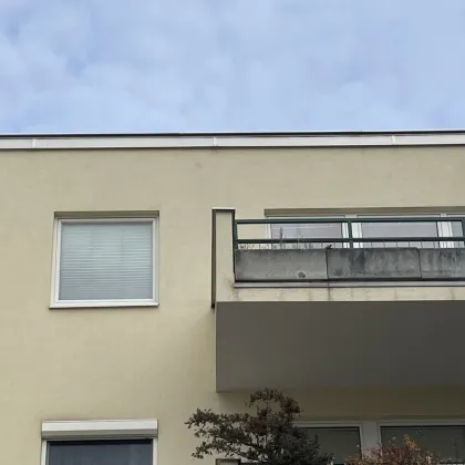 Ideale Wohnung für Ruhe-bedürftige Menschen , die Platz und Grünblick schätzen - Bild 2