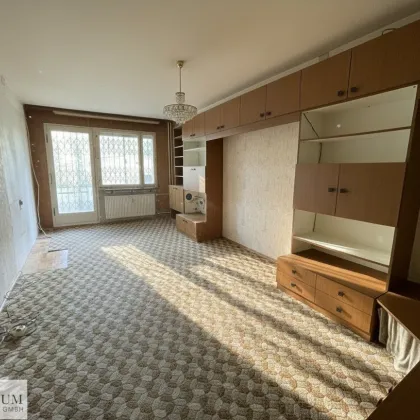 Helle 2 Zimmerwohnung mit Parkplatz und sonniger Terrasse bei U3 Kendlerstraße - Bild 3