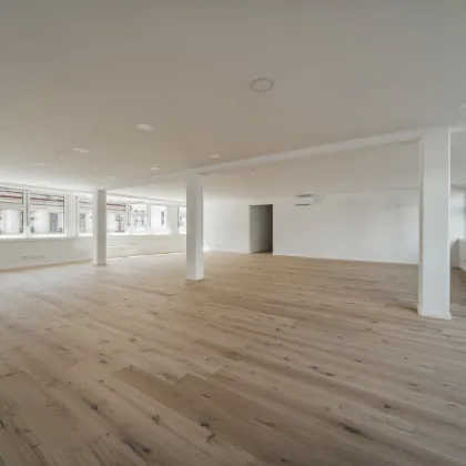 Modernes Open-Space-Büro mit ca. 240m² - Bild 2