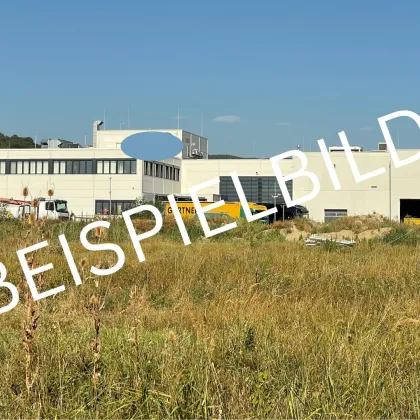 Attraktives Bauträgergrundstück mit Entwicklungspotenzial:  GB BG, Bauklasse II 10,5m; g - Bild 2
