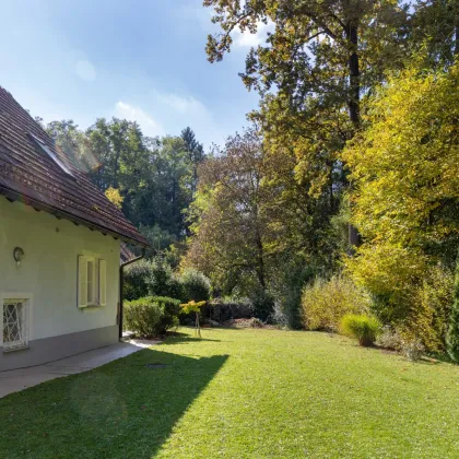 Rarität in Toplage von Graz-Mariatrost, nahe dem Leechwald – Idyllisches Haus mit Gartenparadies direkt am Waldrand - Bild 2