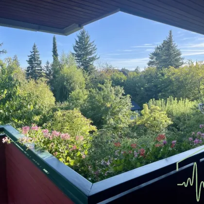 Ihr Traumhaus in 1130 Wien: 270 m² mit Garten, Balkon und Garage! - Bild 3