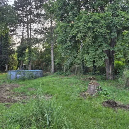 Sonniges Baugrundstück mit Bestandshaus in Grün- und Ruhelage - Bild 2