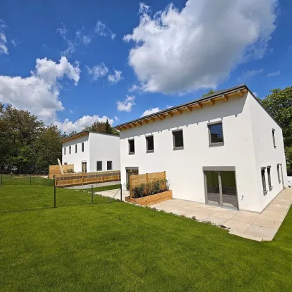 ++ Ihr Experte im südlichen Wienerwald! ++ - Bild 2