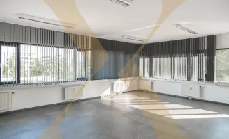 Ansprechende Bürofläche im WDZ6 mit ausreichend Parkplätzen in Wels zu vermieten!
