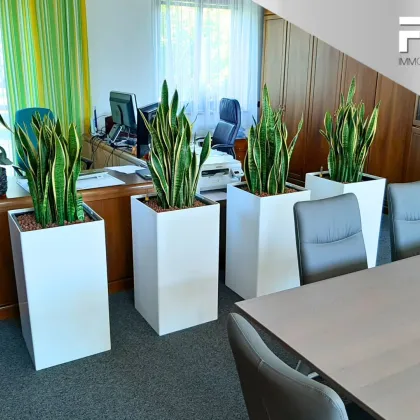 ALL-INCLUSIVE | Ca. 54 m² große Bürofläche WARM mit vielen Optionen! - Bild 2