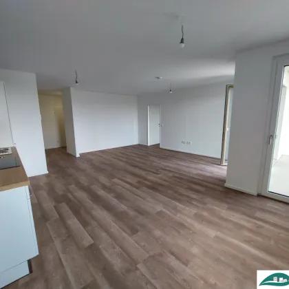 großzügige 3-Zimmerwohnung / Neubau / topmodern / Erstbezug - Ihr Wohn(t)raum im Tullnerfeld - Tiefgarage vorhanden! - Bild 2