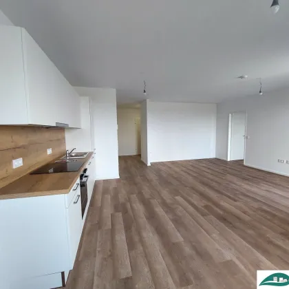 großzügige 3-Zimmerwohnung / Neubau / topmodern / Erstbezug - Ihr Wohn(t)raum im Tullnerfeld - Tiefgarage vorhanden! - Bild 3